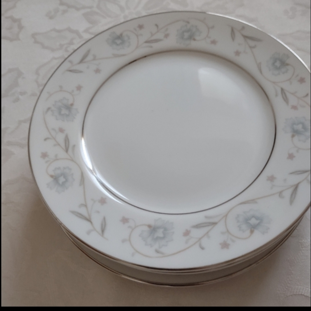 English Garden Platinum Fine China Japan plates